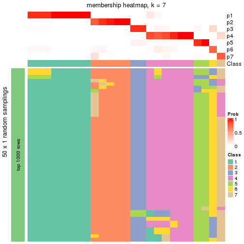 plot of chunk tab-node-031-membership-heatmap-6