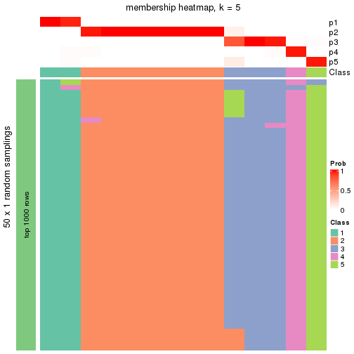 plot of chunk tab-node-0311-membership-heatmap-4