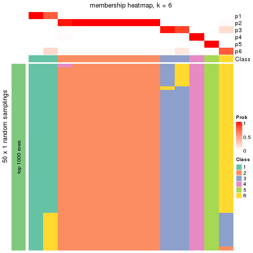 plot of chunk tab-node-0311-membership-heatmap-5