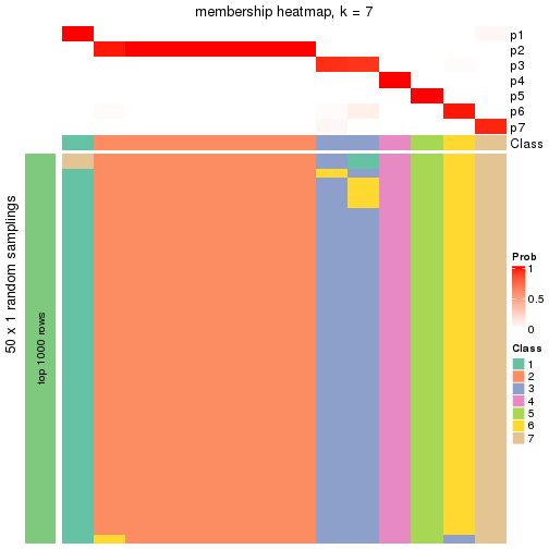 plot of chunk tab-node-0311-membership-heatmap-6