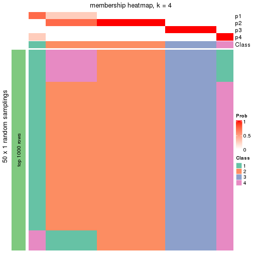 plot of chunk tab-node-03112-membership-heatmap-3