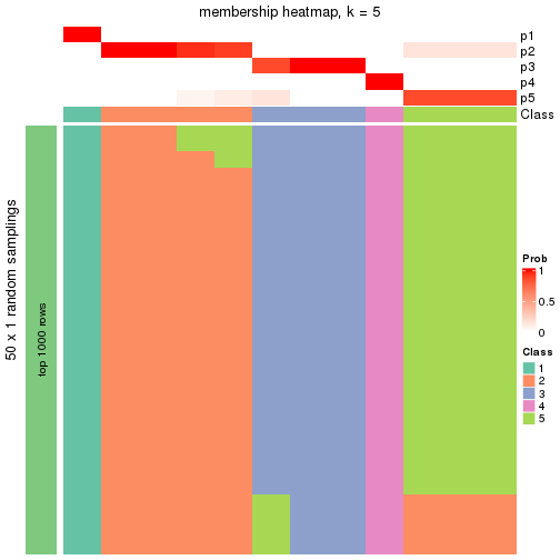 plot of chunk tab-node-03112-membership-heatmap-4