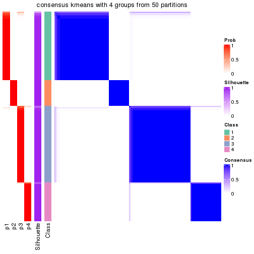 plot of chunk tab-node-0-consensus-heatmap-3