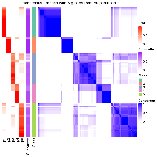 plot of chunk tab-node-0-consensus-heatmap-4