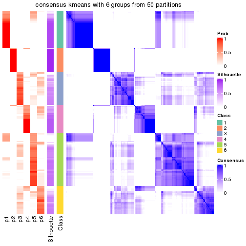 plot of chunk tab-node-0-consensus-heatmap-5