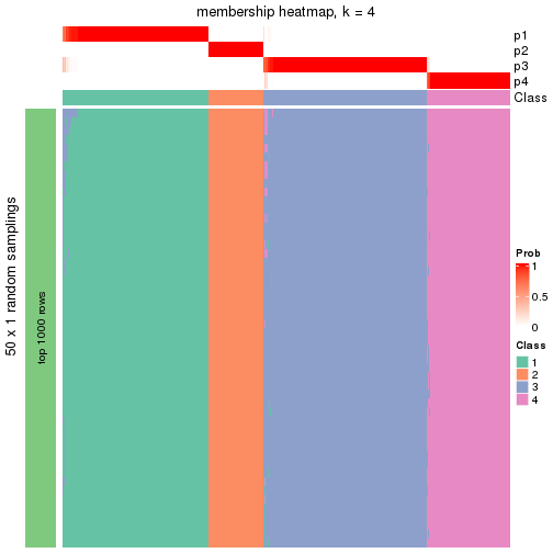 plot of chunk tab-node-0-membership-heatmap-3