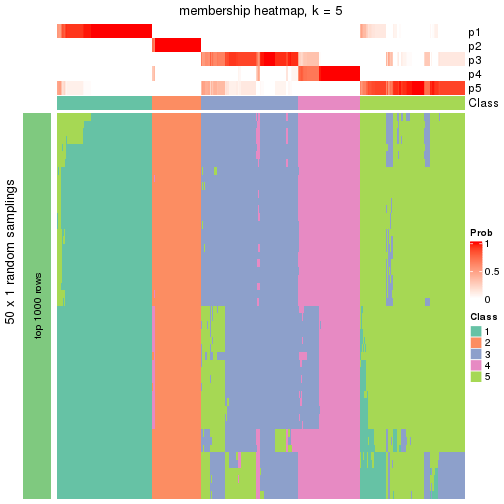 plot of chunk tab-node-0-membership-heatmap-4