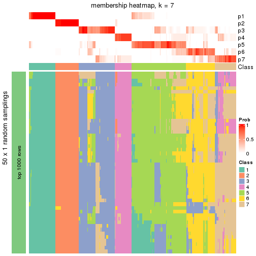 plot of chunk tab-node-0-membership-heatmap-6