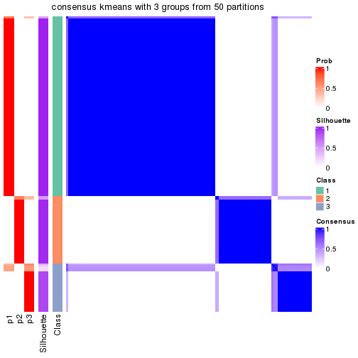 plot of chunk tab-node-01-consensus-heatmap-2