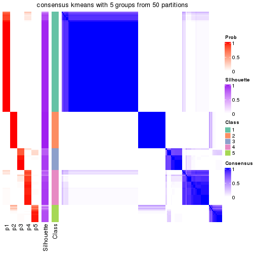 plot of chunk tab-node-01-consensus-heatmap-4