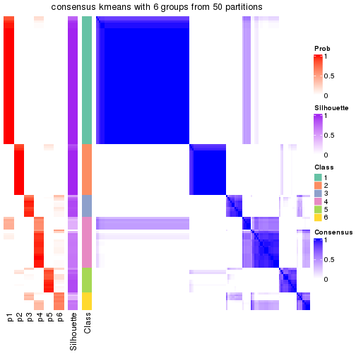 plot of chunk tab-node-01-consensus-heatmap-5