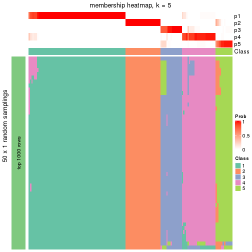 plot of chunk tab-node-01-membership-heatmap-4