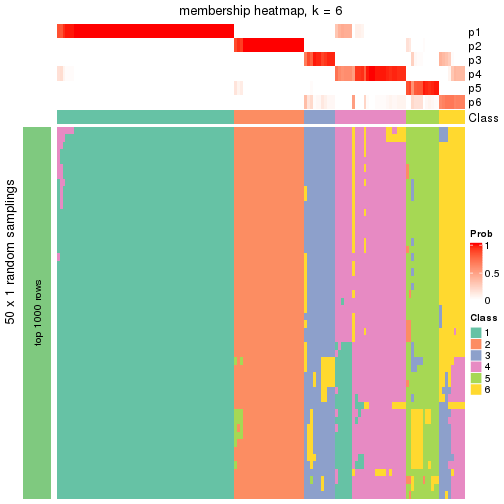 plot of chunk tab-node-01-membership-heatmap-5