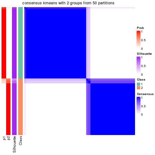 plot of chunk tab-node-011-consensus-heatmap-1