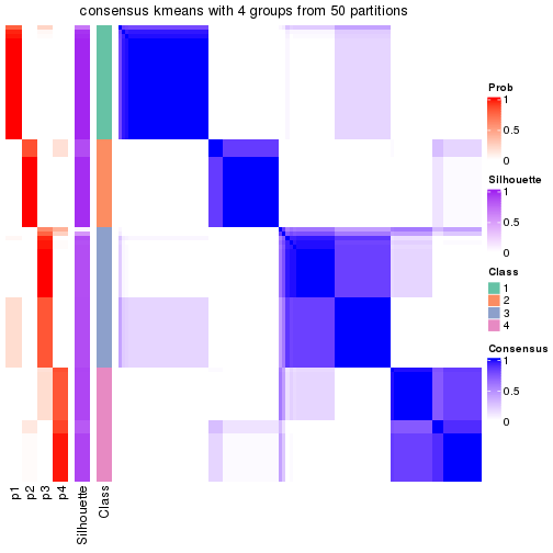 plot of chunk tab-node-011-consensus-heatmap-3