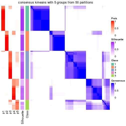 plot of chunk tab-node-011-consensus-heatmap-4