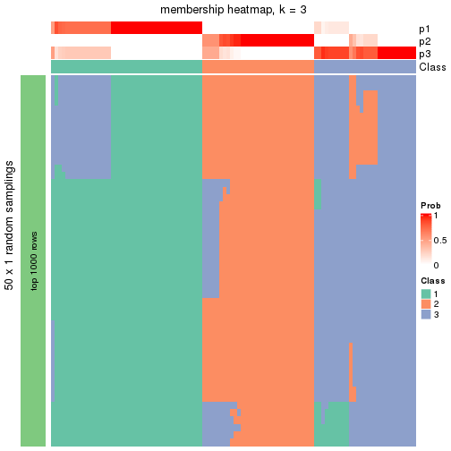 plot of chunk tab-node-011-membership-heatmap-2