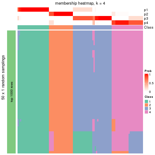 plot of chunk tab-node-011-membership-heatmap-3