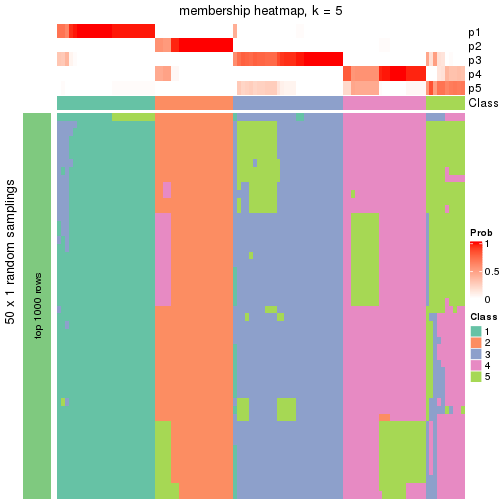 plot of chunk tab-node-011-membership-heatmap-4