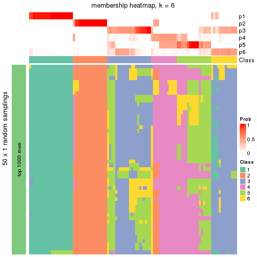 plot of chunk tab-node-011-membership-heatmap-5