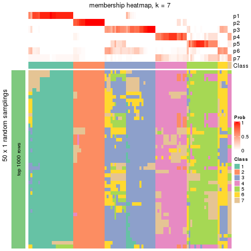 plot of chunk tab-node-011-membership-heatmap-6