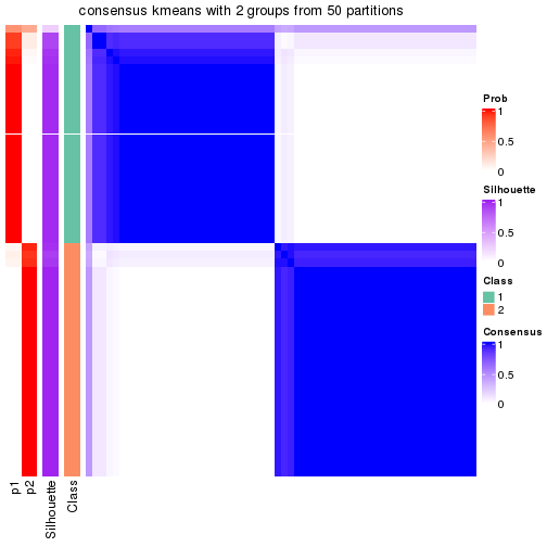 plot of chunk tab-node-0111-consensus-heatmap-1