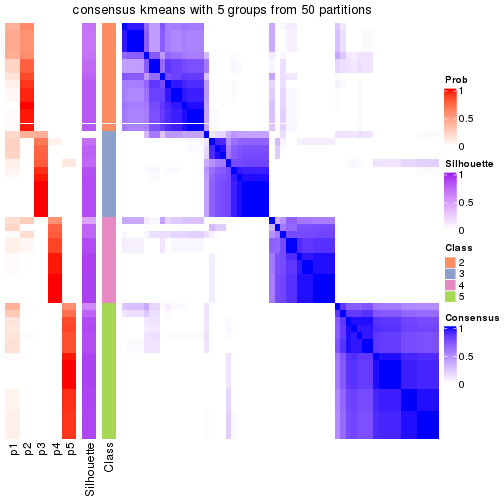 plot of chunk tab-node-0111-consensus-heatmap-4