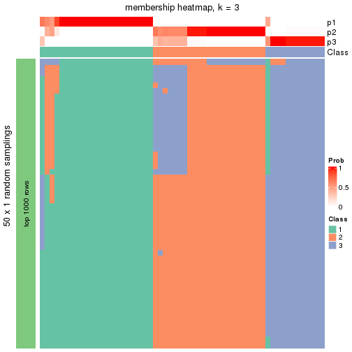 plot of chunk tab-node-0111-membership-heatmap-2