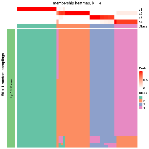 plot of chunk tab-node-0111-membership-heatmap-3