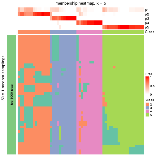 plot of chunk tab-node-0111-membership-heatmap-4