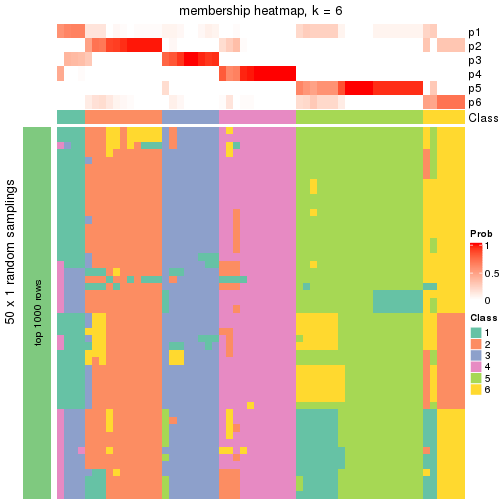 plot of chunk tab-node-0111-membership-heatmap-5