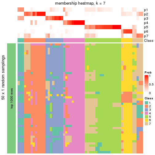 plot of chunk tab-node-0111-membership-heatmap-6