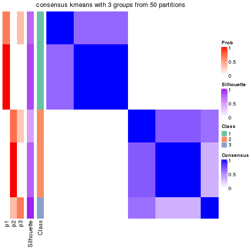 plot of chunk tab-node-01111-consensus-heatmap-2