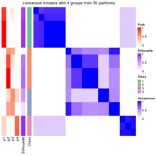 plot of chunk tab-node-01111-consensus-heatmap-3