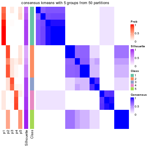 plot of chunk tab-node-01111-consensus-heatmap-4