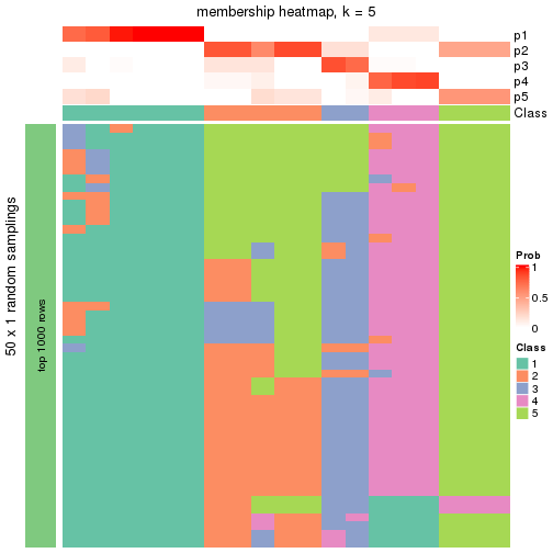 plot of chunk tab-node-01111-membership-heatmap-4