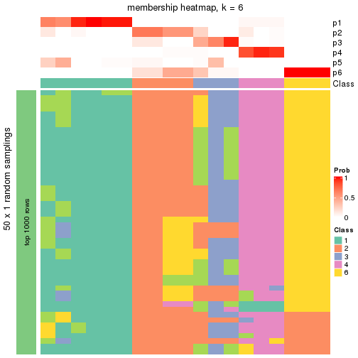 plot of chunk tab-node-01111-membership-heatmap-5