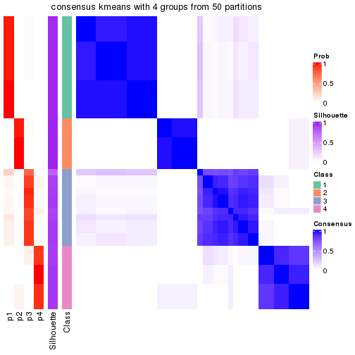 plot of chunk tab-node-0112-consensus-heatmap-3