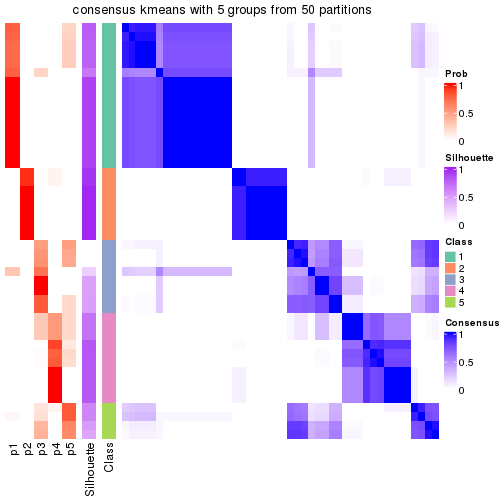 plot of chunk tab-node-0112-consensus-heatmap-4