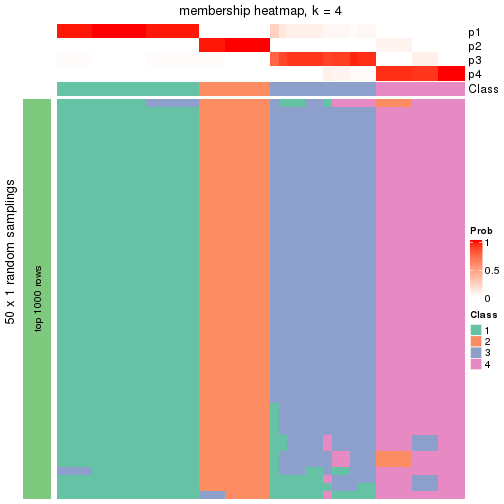 plot of chunk tab-node-0112-membership-heatmap-3