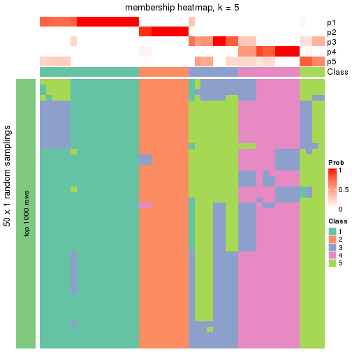 plot of chunk tab-node-0112-membership-heatmap-4