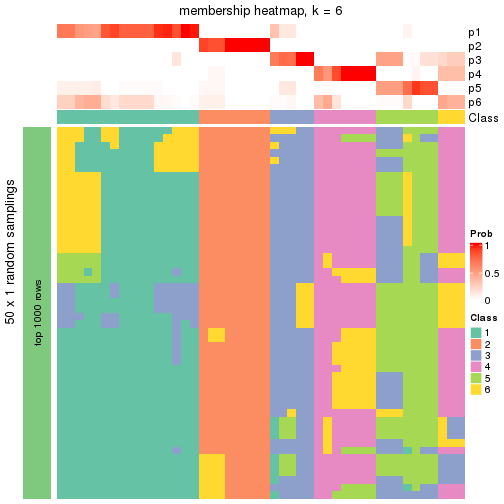 plot of chunk tab-node-0112-membership-heatmap-5