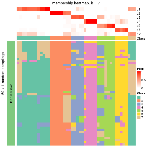 plot of chunk tab-node-0112-membership-heatmap-6