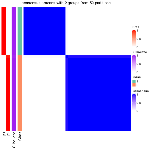 plot of chunk tab-node-012-consensus-heatmap-1