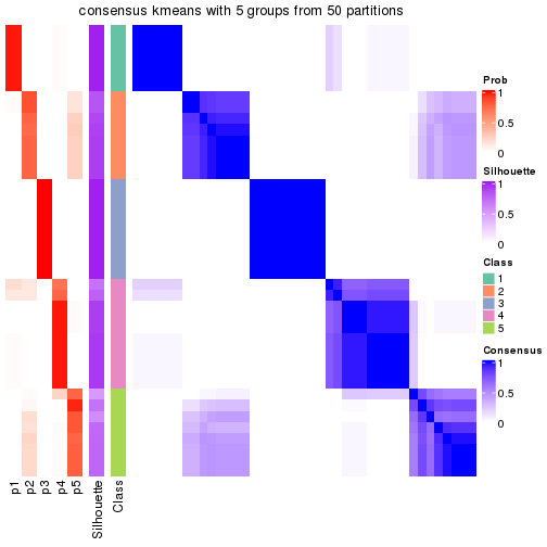 plot of chunk tab-node-012-consensus-heatmap-4