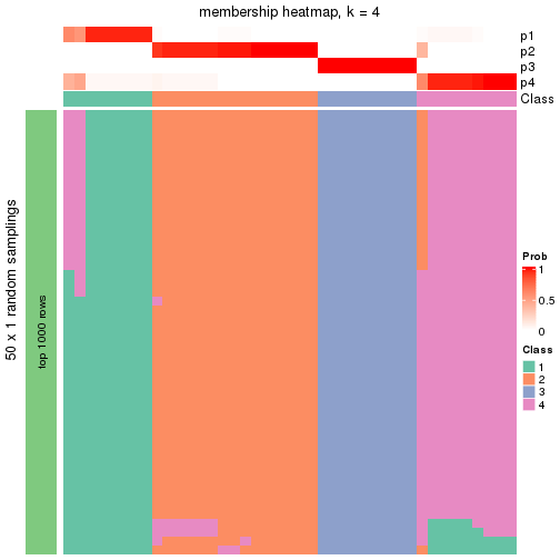 plot of chunk tab-node-012-membership-heatmap-3