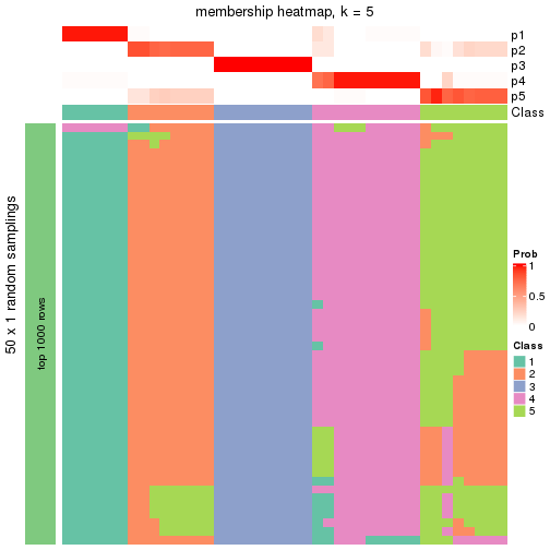 plot of chunk tab-node-012-membership-heatmap-4