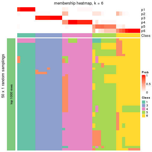 plot of chunk tab-node-012-membership-heatmap-5