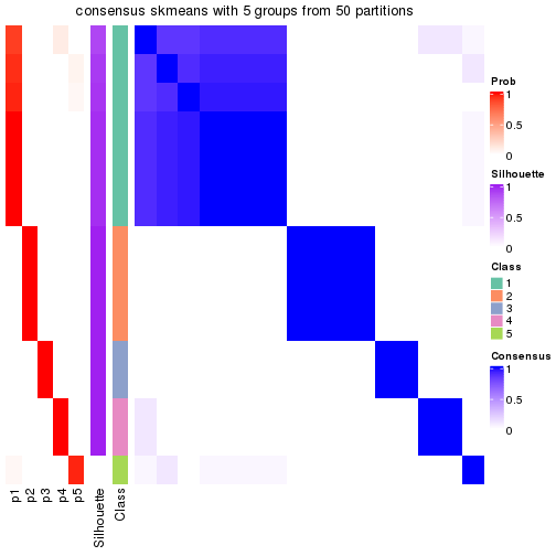 plot of chunk tab-node-0121-consensus-heatmap-4