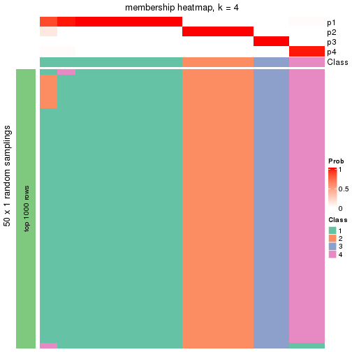 plot of chunk tab-node-0121-membership-heatmap-3